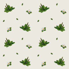 Broadleaf plantain leaves with wild strawberry blossoms in a seamless botanical pattern, perfect for fabric print, wallpaper © PinkBirdDesign