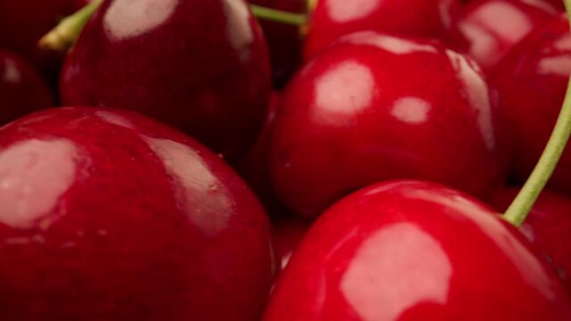 Macro shot moving closely over a pile of glossy ripe red sweet cherries with green stems