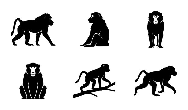 Baboon Silhouette Icons Set, Primate Animal Vector Graphics, Wildlife Mammal Collection, African Ape Illustrations