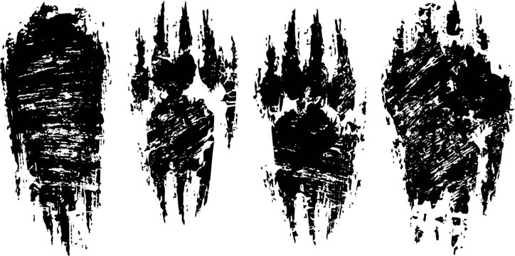 Animal claw marks black scratched textures, grunge isolated scratches set on white background