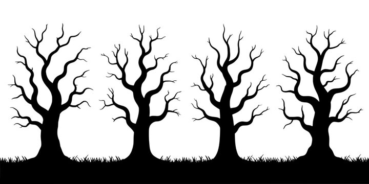 Trees with Bare Branches Standing in a Row on a Grassy Field Featuring Nature, Landscape, Silhouette with Black and White and Minimalist Elements For