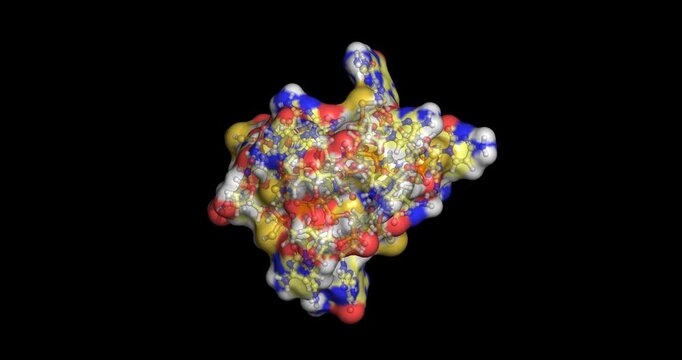Oblimersen, antisense oligonucleotide agent for cancer therapy, 3D molecule spinning, 4K