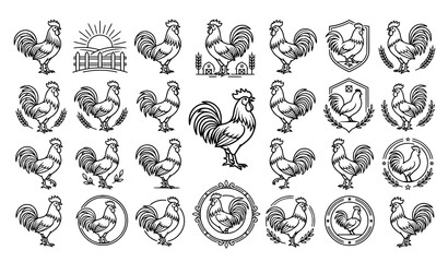Vintage rooster illustrations collection farm animal graphics for rustic design labels and branding projects © Hacar