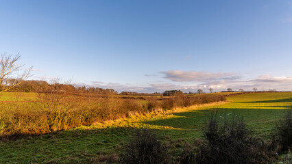 Naklejka premium Golden light bathes autumn field and distant trees. Sky glows blue, soft clouds drift overhead. Green grass meets yellowed bushes under warm glow