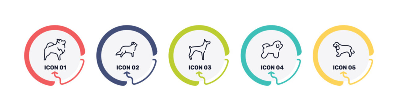 dog breeds fullbody outline icon set featuring pomeranian, bernese mountain, doberman, bichon frise icons.