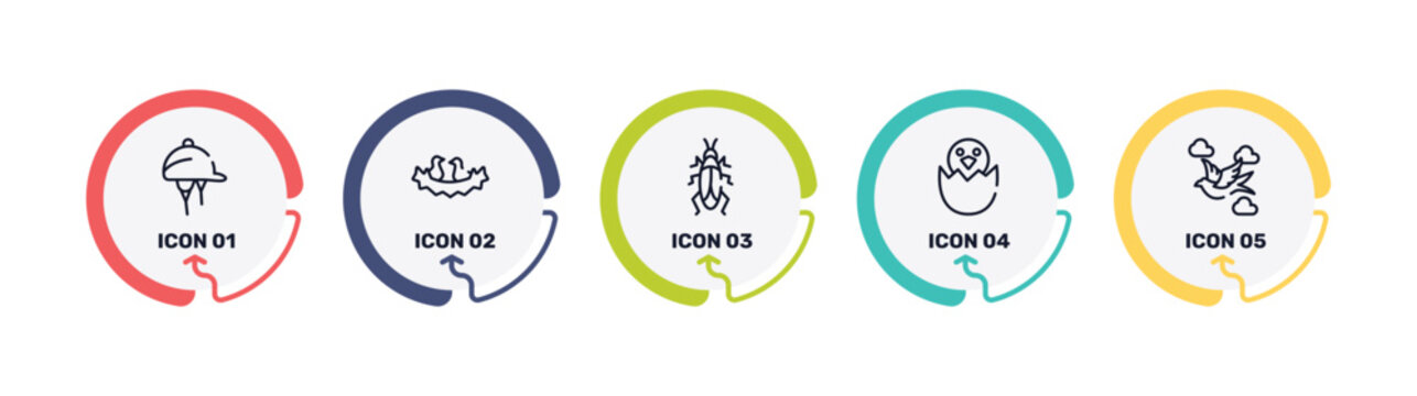 birds pack outline icon set featuring hat for a jockey, birds in nest, roach, bird in broken egg icons.