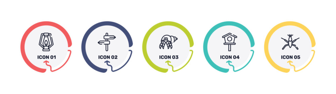 insects outline icon set featuring oil lamp, road, hermit crab, birdhouse icons.