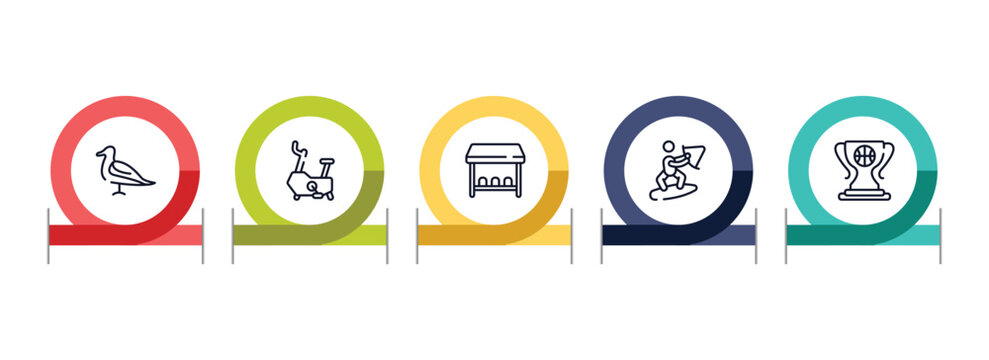 basketball outline icon set featuring seagulls, stationary bicycle, team bench, wakeboarding icons.