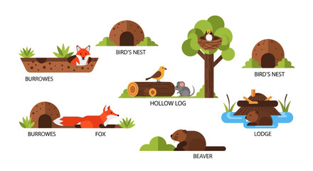 Animal Habitats: Fox Burrow, Bird Nest, Beaver Lodge, Hollow Log © Junet