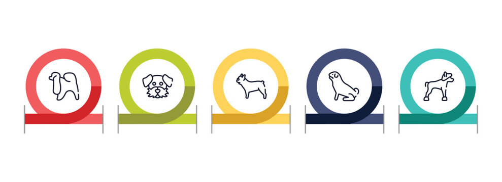 dog breeds fullbody outline icon set featuring japanese chin, dog moustache, french bulldog, pug icons.