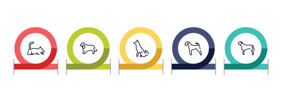 dog breeds fullbody outline icon set featuring laying cat, english cocker spaniel, akitas, airedale icons.