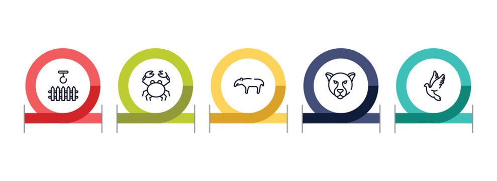 birds outline icon set featuring swing, crab, tapir, jaguar icons.