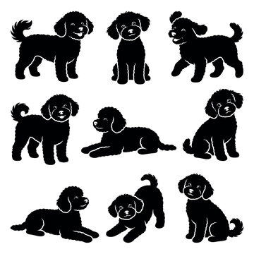 black and white silhouette vector set of Bichpoo