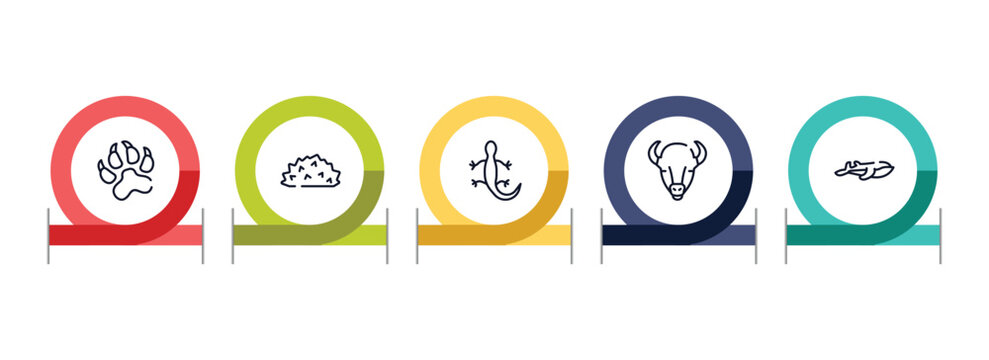 wildlife outline icon set featuring pawprints, hive, lizard, bison icons.