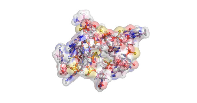 Miravirsen, antisense oligonucleotide inhibitor of hepatitis C, 3D molecule 4K