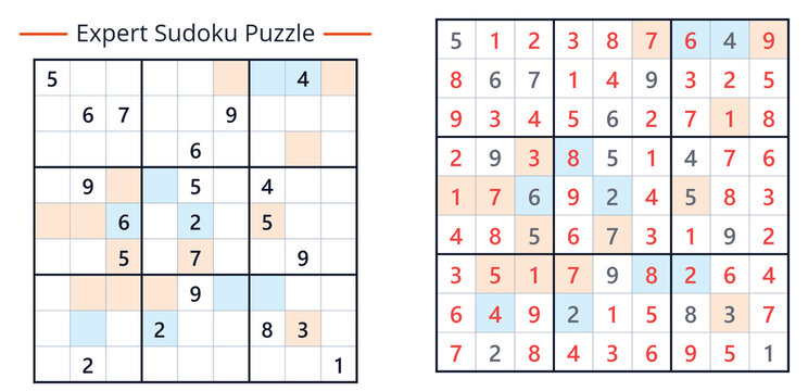 Sudoku math puzzle
