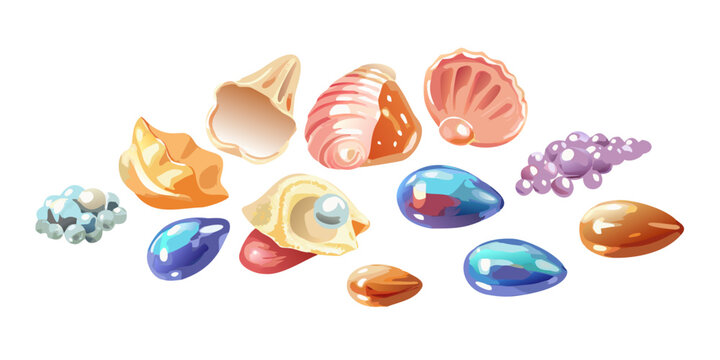 Collection of colorful sea shells, pearls and gems, vector