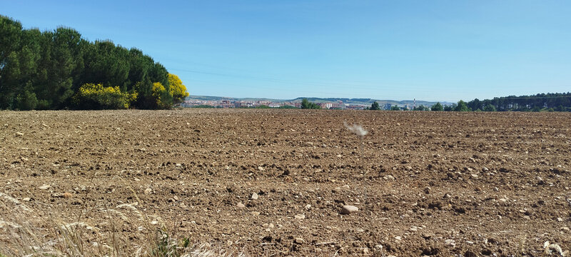 Campo arado en paisaje rural de verano