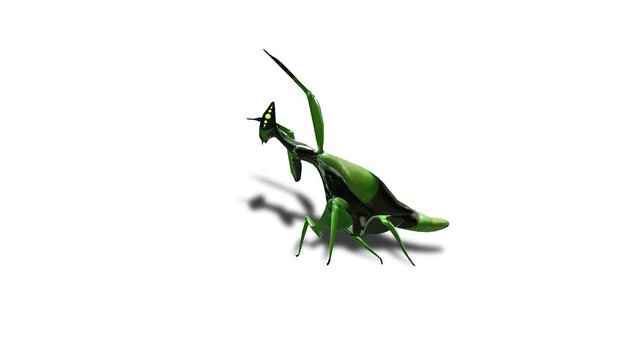 Realistic mantis Insects Green Screen Beetles, Scorpions and Mantis, Isolated Chroma Key Animation for VFX, Compositing, CGI and Motion Design