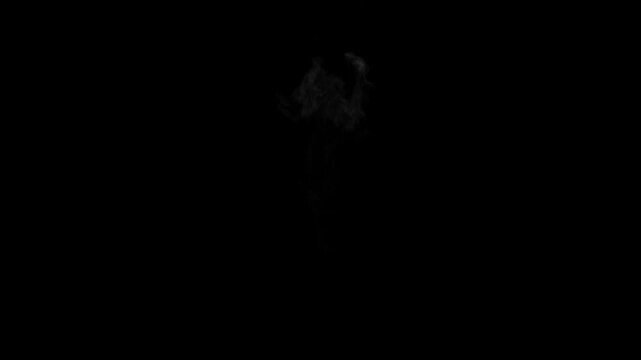 smoke rising up side view