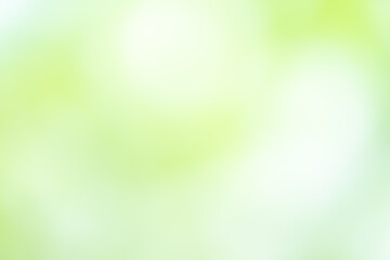 Fototapeta premium グリーン 背景素材