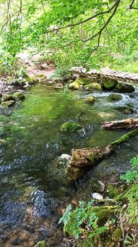 Clear mountain stream with mossy rocks and wooden bridge in forest, Serbia