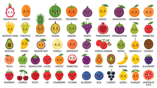 Big set of cute fruit characters with names on white background.