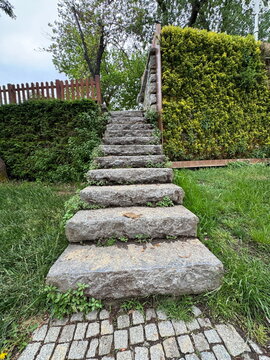 Natural stone stairs next to a vertical garden wall covered with golden euonymus (Euonymus japonicus). Decorative living plant wall in a park landscape, perfect for architecture and gardening.