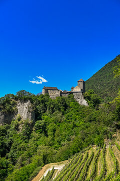 Dorf Tirol, Schloss Tirol, Algund, Weinberg, Weinpergola, Landwirtschaft, Wanderweg, Waalweg, Vinschgau, S&uuml;dtirol, Texelgruppe, Fr&uuml;hling, Sommer, Italien