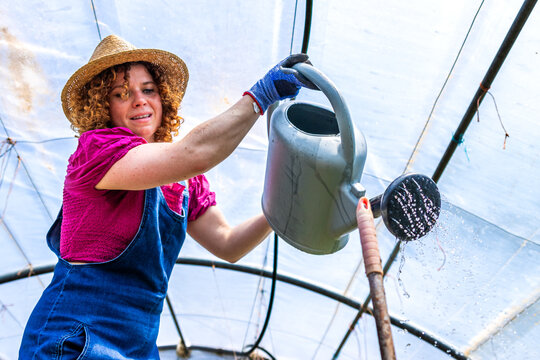 Woman gardener caring for plants in greenhouse, watering cultivating for growth