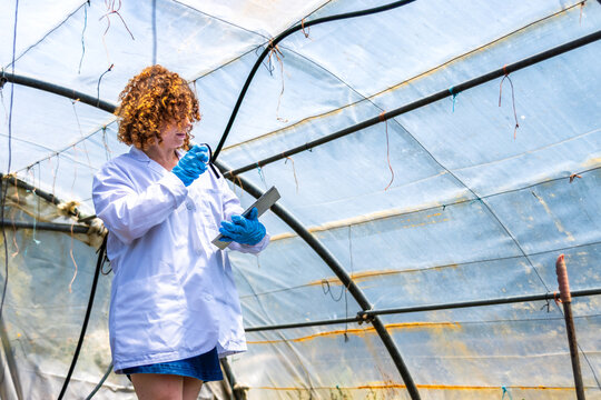 Woman scientist inspecting plants in greenhouse for pest control and quality research