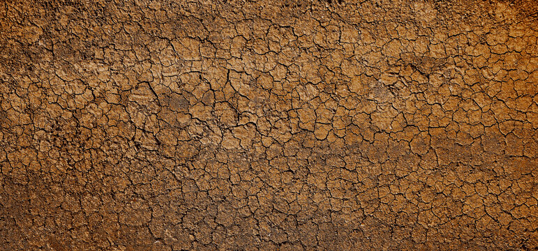 Crack cracked texture lines isolated on brown clay land soil background style cracked texture with cracked pattern abstract backdrop Black white cracked earth texture with dry dried ground pattern