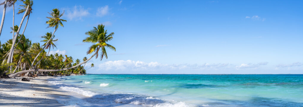 Tropical island in the South Seas