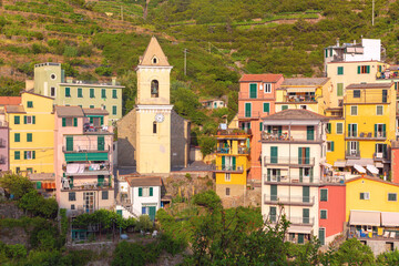 Obraz premium Colorful residential buildings and a historic bell tower on the hillside of Manarola, Cinque Terre, Italy.
