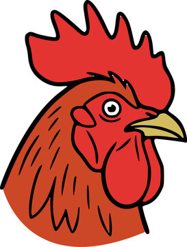 rooster head on red drawn by vector can be edit colour