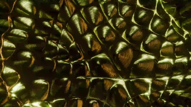 Extreme Close-Up Slow Pan Over Metallic Green Gold Reptilian Scales Texture Abstract Organic Pattern Dramatic Lighting 4K