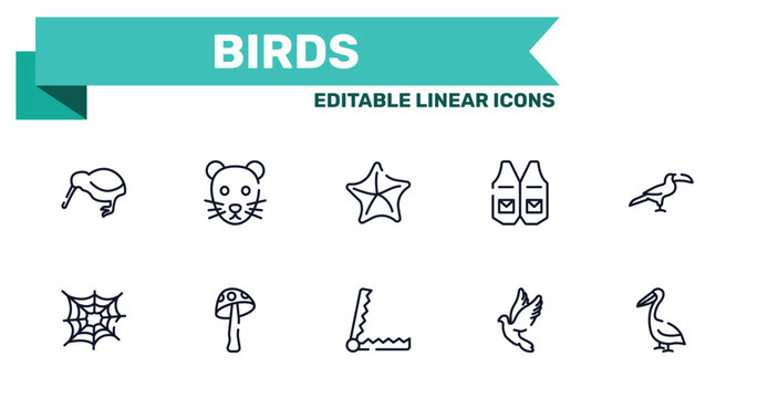 birds outline icon set featuring kiwi, rat, trap, dove icons.