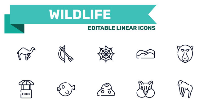 wildlife outline icon set featuring dromedary, bow and arrow, anthill, chipmunk icons.