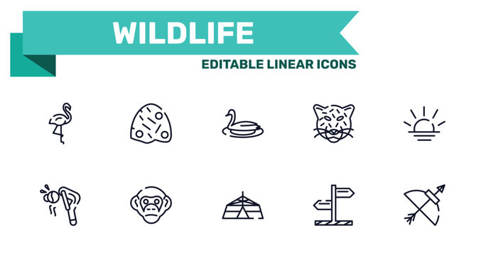wildlife outline icon set featuring flamingo, anthill, jaima tent, direction icons.