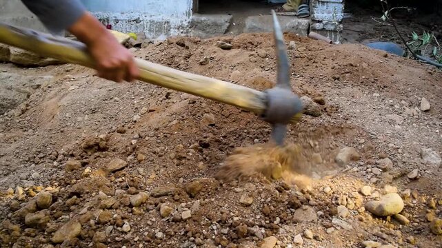 Closeup of man's hands digging rocky soil with a pickaxe tool on the ground manual labor and excavation