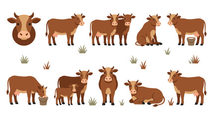 Fototapeta premium Brown cows in various poses on white background.