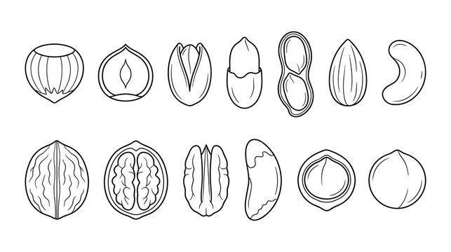 Assortment of nuts with shells and kernels icons.