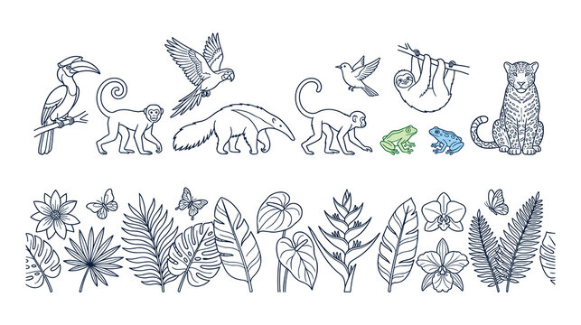 Jungle animals and tropical plants collection for nature theme.