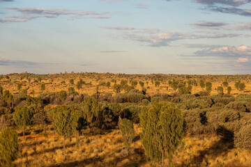 Fototapeta premium View of Australian desert with some vegetation.