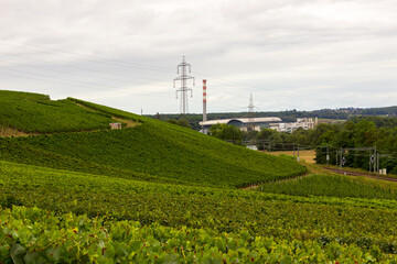 Fototapeta premium Vineyards near Russin with waste to energy plant in the distance