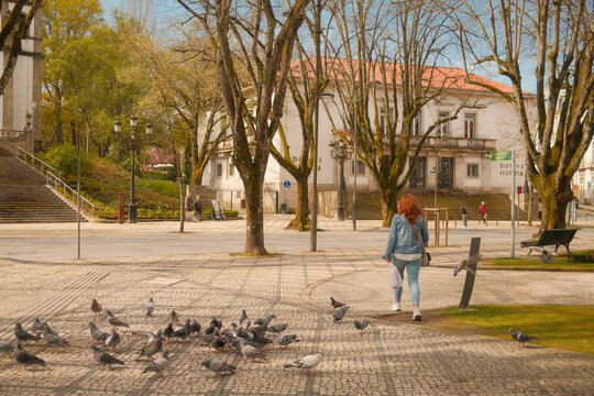 Public Gardens and Square Scene in Amarante