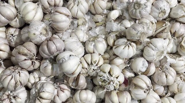 Overhead view of fresh garlic bulbs arranged in a supermarket produce section, suitable for food retail, grocery, and ingredient concepts.