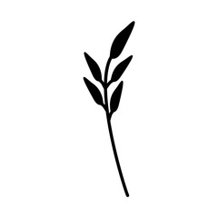 Fototapeta premium branch with leaves