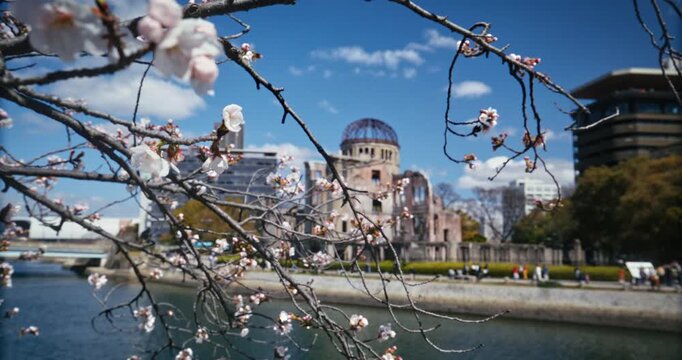 Cherry Blossom Branches Frame Hiroshima Peace Memorial Dome - Slow Motion Shot