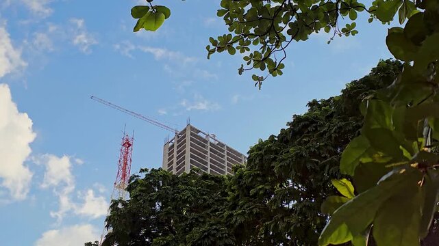 Low angle of skyscraper skeleton under construction surrounded by trees. 4K